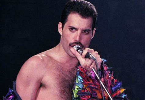 freddy mercury gay|Primeira namorada de Freddie Mercury sacou que ele era gay。